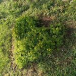 IMG-20260509-WA0060